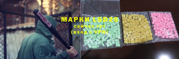 индика Кодинск