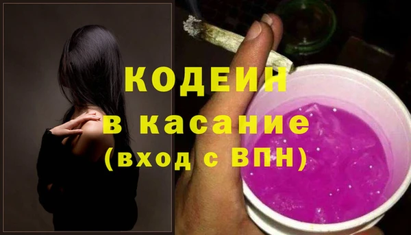 индика Кодинск