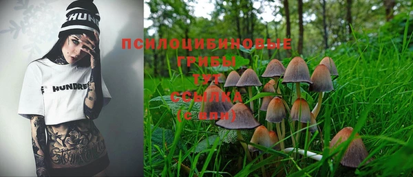 кокс Козельск