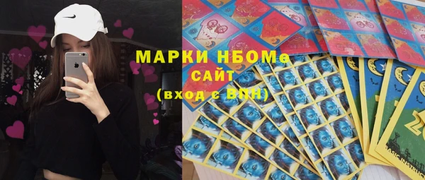 индика Кодинск