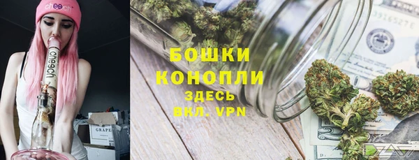 дурь Козловка
