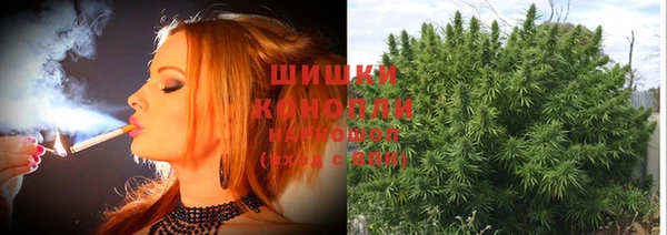 индика Кодинск