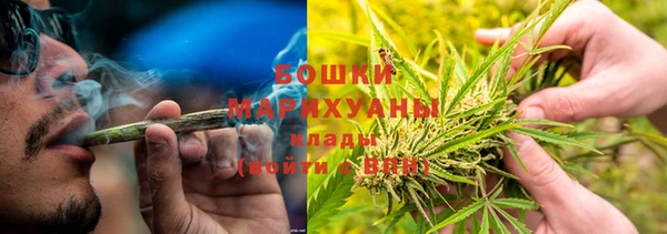 индика Кодинск