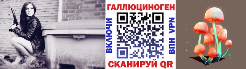 даркнет телеграм  как найти закладки  Усть-Джегута  Псилоцибиновые грибы Psilocybe 