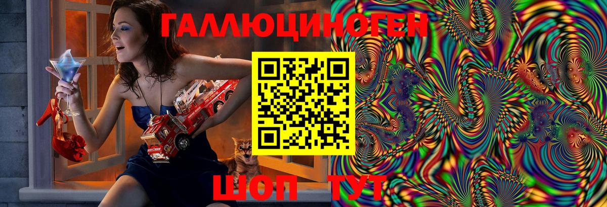 Псилоцибиновые грибы Psilocybine cubensis Усть-Джегута